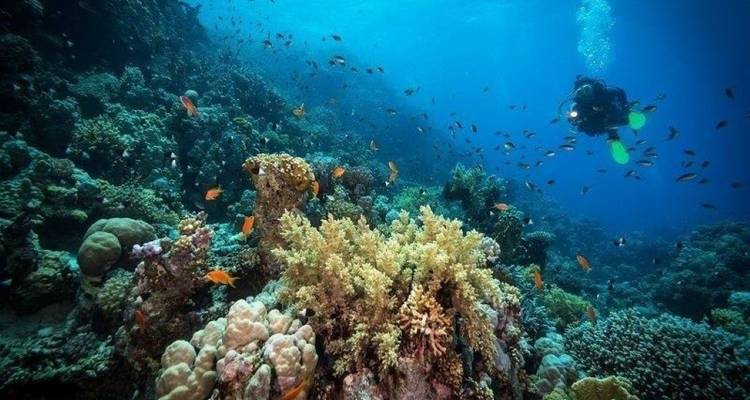 Cairo, Nile Cruise & Hurghada Holiday - Agazat Club 7