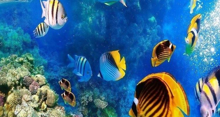 Cairo, Nile Cruise & Hurghada Holiday - Agazat Club 10