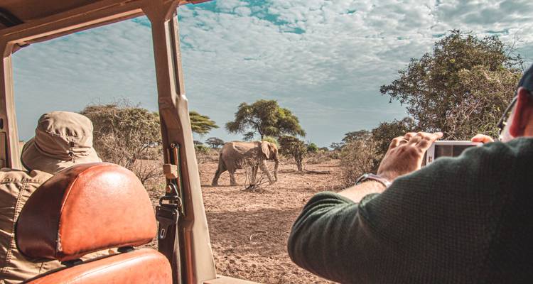 Des touristes observant un éléphant depuis un véhicule de safari.
