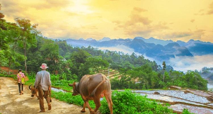 Ciclismo Norte de Vietnam: Hanói - Mai Chau - Pu Luong 4 días - Vietnam By Bike 10