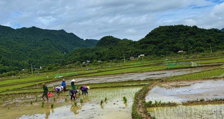 Ciclismo Norte de Vietnam: Hanói - Mai Chau - Pu Luong 4 días - Vietnam By Bike 4