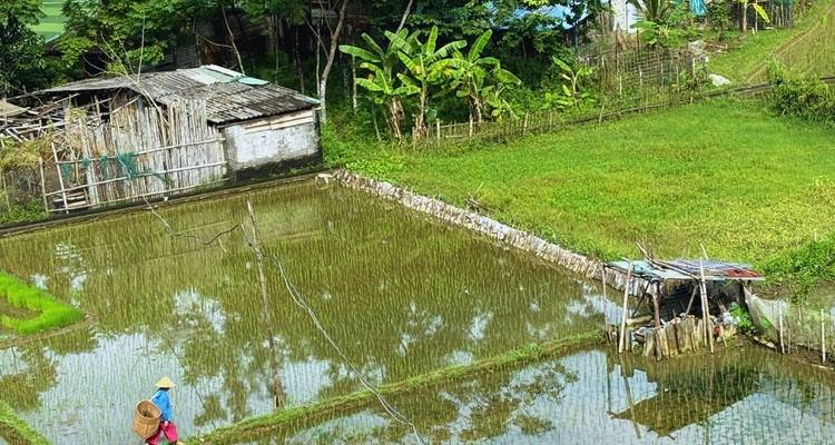 Ciclismo Norte de Vietnam: Hanói - Mai Chau - Pu Luong 4 días - Vietnam By Bike 9