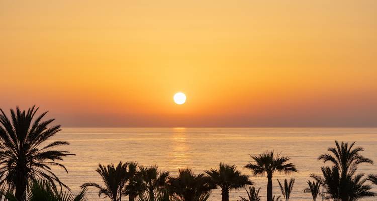 4 weeks - All inclusive Tunisia Beach Stay - Wingbuddy 7