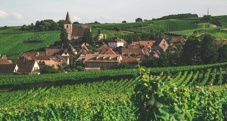 Europe: The Grand Tour  (Amsterdam to Vienna) - Collette 4