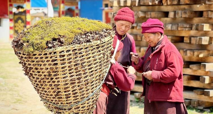 Trekking al Valle del Tsum - 14 días - Glorious Himalaya Trekking Pvt. Ltd. 4