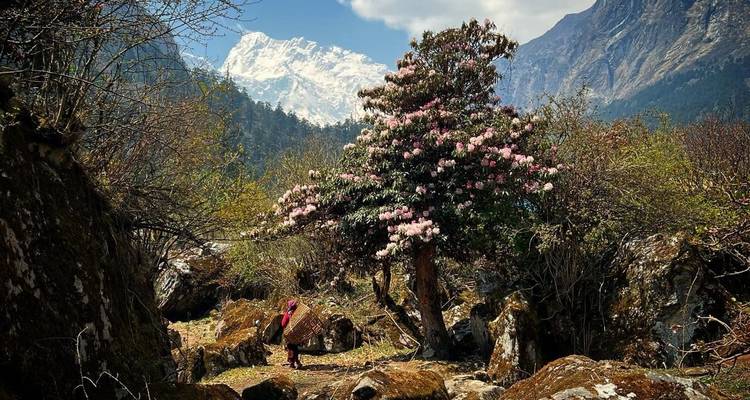 Trekking al Valle del Tsum - 14 días - Glorious Himalaya Trekking Pvt. Ltd. 7