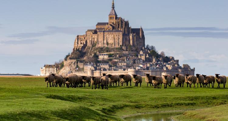 Excursión guiada de 2 Días al Monte Saint-Michel, Castillos del Valle del Loira desde París con recogida en el hotel (ML2F) - PARISCityVISION 8