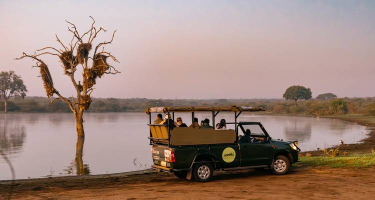 Safari voertuig bij een meer met boom en nesten.