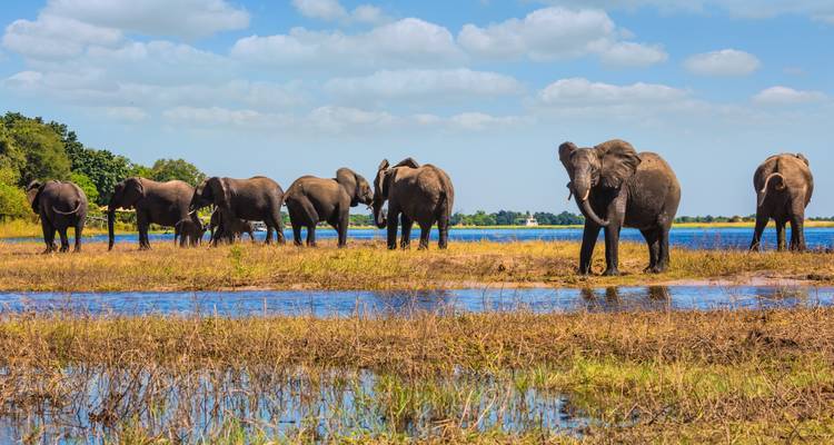 Safari por África Austral (21 días, impuesto intraurbano de Ciudad del Cabo a Johannesburgo) - Contiki 8