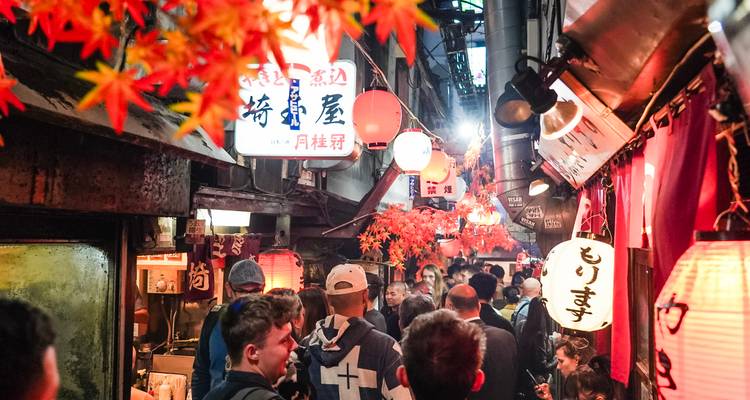 Japan's South: Fuji, Flavors & Firelands - journaway DACH 8