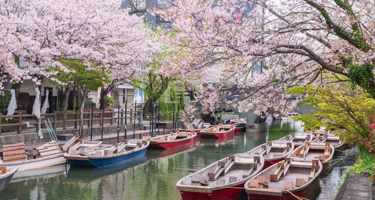 Japan's South: Fuji, Flavors & Firelands - journaway DACH 3