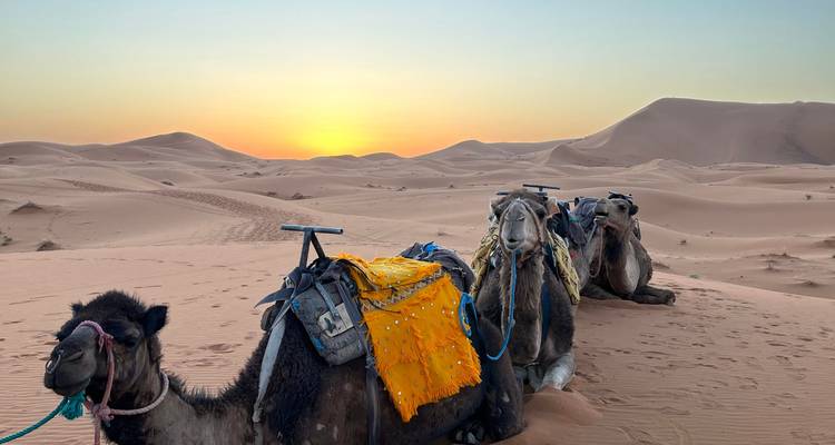 Circuit de 2 jours dans le désert du Sahara depuis Marrakech jusqu'aux dunes d'Erg Lihoudi - Morocco Sahara Desert Travel 1