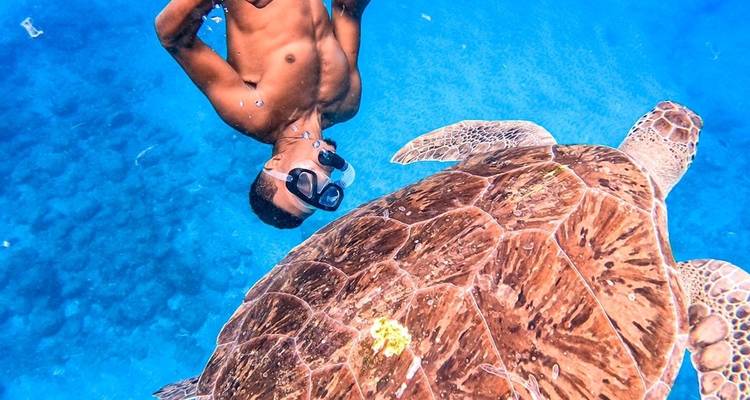 Ultimate Cape Verde Expedition: Discover Sal, São Vicente and Santo Antão in 14 Days - BuCountry Tours 3