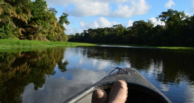 Tortuguero Trails & Pacuare Rapids 4D/3N - Bamba Travel 4