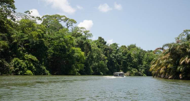 Tortuguero Trails & Pacuare Rapids 4D/3N - Bamba Travel 6