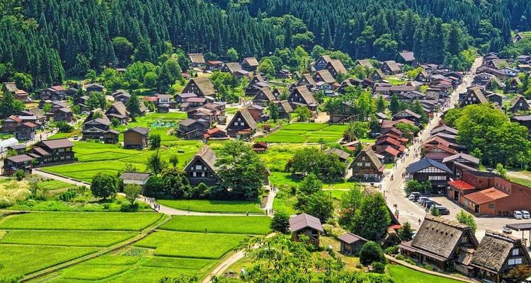 12 Días de Diversión en Familia en Japón (guía y conductor privados） - UME Travel Co. Ltd 5