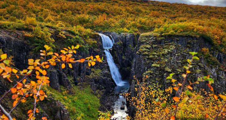 8 Días Privado Alrededor de Islandia | Ruta de circunvalación (Verano) - Marina Travel 3