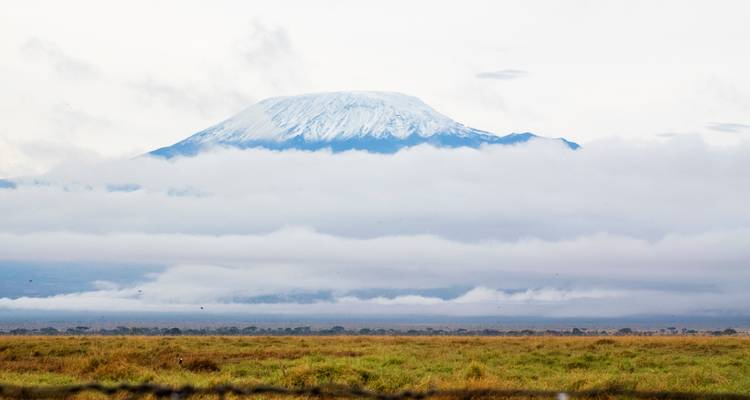 Le mont Kilimandjaro avec des champs herbeux et des nuages.
