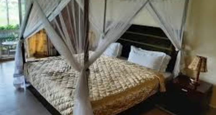 Safari à petit budget de 6 jours et 5 nuits au Masai Mara, au lac Nakuru et à Amboseli - Perfect Safari Africa tours and safaris 1