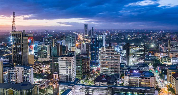 Visita a la ciudad de Nairobi (Orfanato de Elefantes + Centro de Jirafas + Vista de la Torre KICC - Gracepatt Ecotours Kenya 7