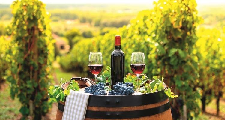 The Dolomites and Prosecco, Self-Drive - TUI Italia 7