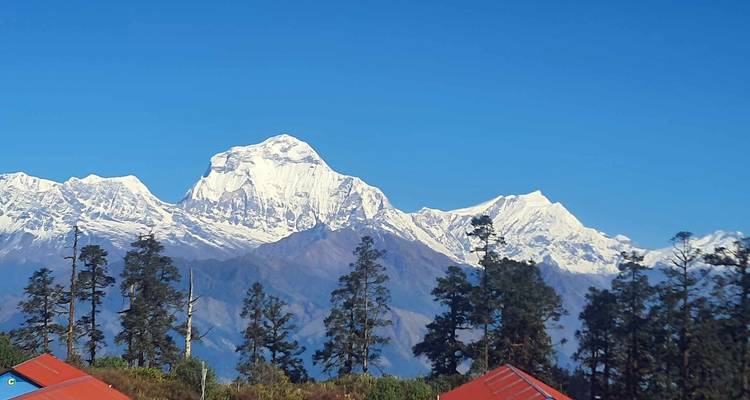 Excursión corta al campamento base del Annapurna - Himalaya Heart Treks & Expedition[P] Ltd  1