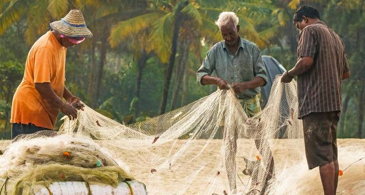 Classic South India Tour with Extension Option Kovalam - World Travel Experiences 6