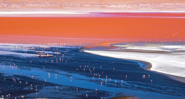 Lo mejor de Bolivia - 8 días: La Paz, Tiwanaku, Sucre, Potosí, Salar de Uyuni y lagunas de colores - Peru Trek 4 Good 9