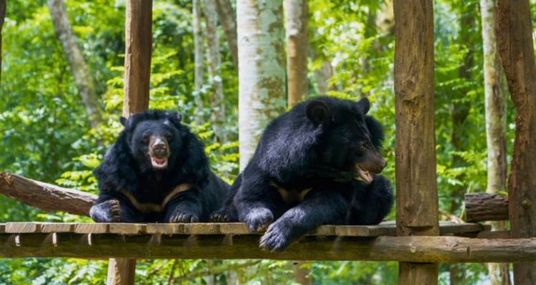 Les incontournables de Luang Prabang - 6 jours - Open Asia Travel  6