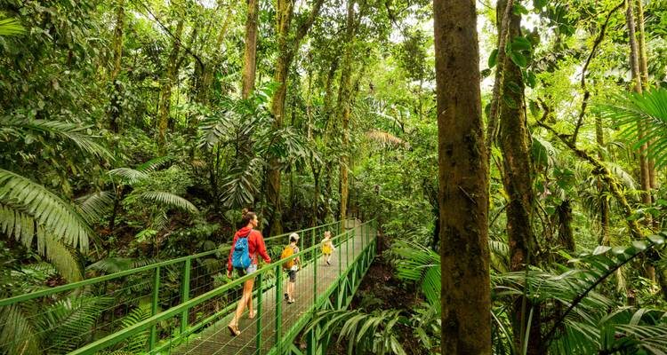 Monos, Selvas y Volcanes - 8 días, Traslado de Salida Manuel Antonio a San José - Trafalgar 2