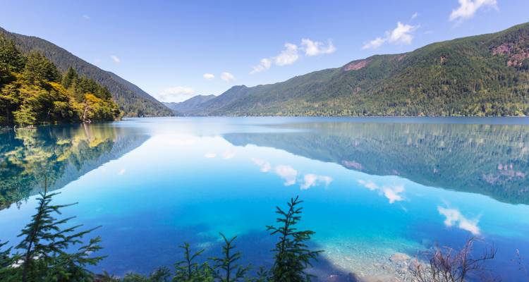 Kristallklarer türkisfarbener See, der die umgebenden immergrünen Berge im Olympic-Nationalpark perfekt widerspiegelt.