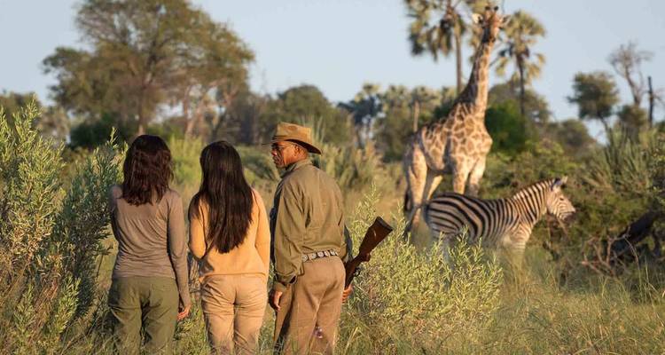 Aventura de 11 días - Ruanda, Gorilas, Kenia y Maasai Mara - Golden Rwanda Safaris Ltd 4