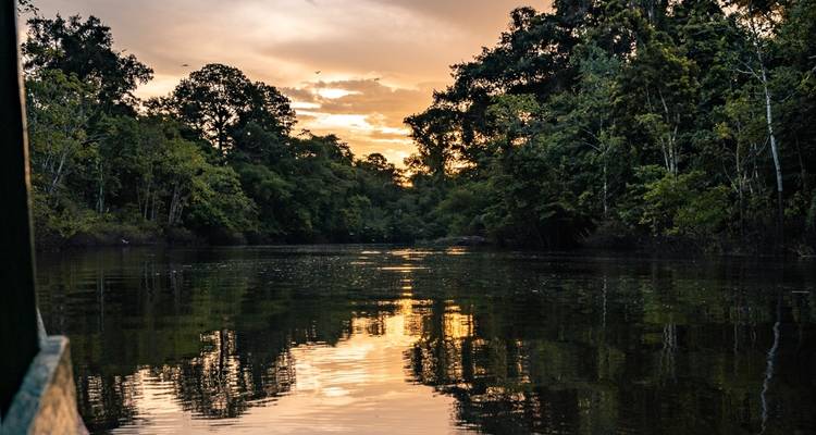 5 Days 4 Nights on Pacaya Samiria National Reserve - Amazon Experience 3