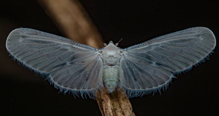 5 Days 4 Nights on Pacaya Samiria National Reserve - Amazon Experience 7