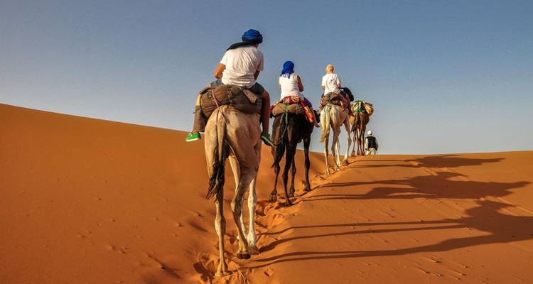 Menschen reiten auf Kamelen auf einer Sanddüne.