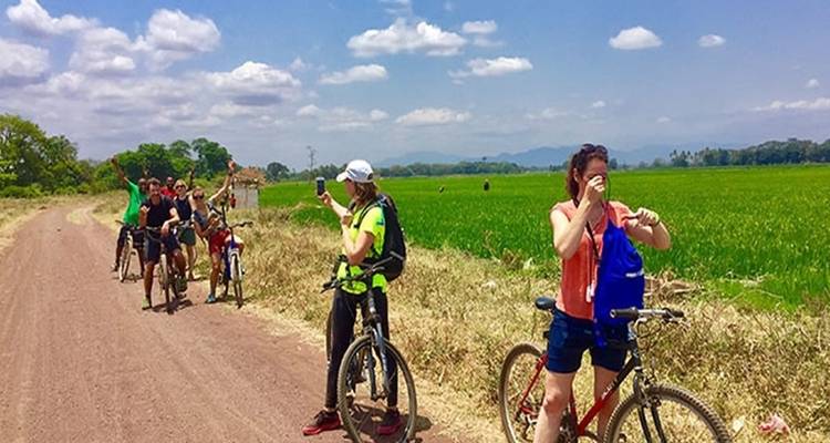 Cyclistes faisant une pause sur une route rurale avec des champs verts luxuriants.