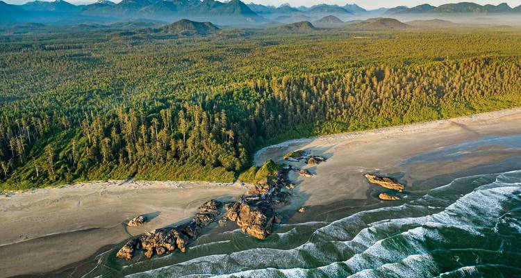 Vue aérienne d'une plage isolée et d'un littoral de forêt dense.