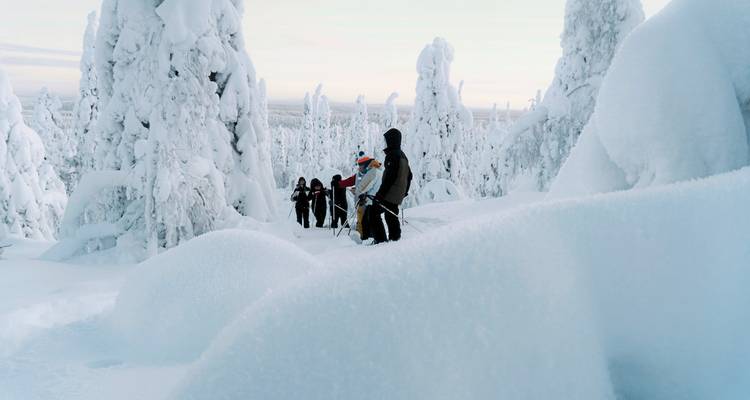Des gens qui font de la randonnée dans un paysage de forêt enneigée.
