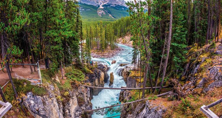 Cascade pittoresque avec un arrière-plan forestier.