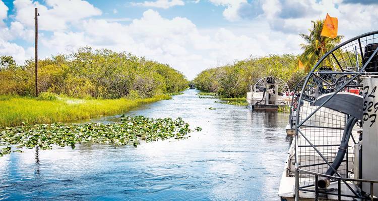 An airboat with tourists on a river with lush vegetation.