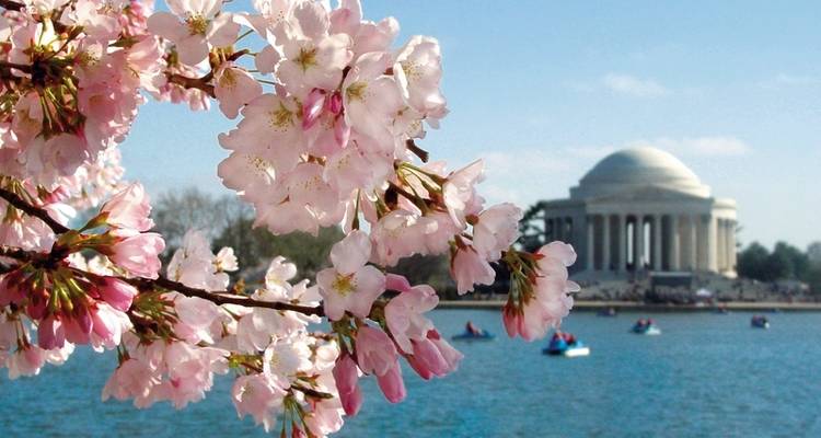 Sites touristiques de l'Est - DERTOUR 3
