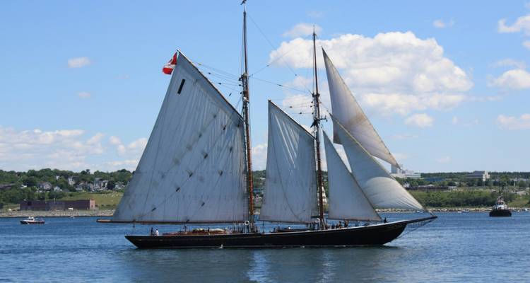 Een zeilboot op een kalm water met land op de achtergrond.