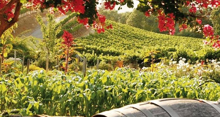 Les beautés naturelles de la côte ouest - DERTOUR 3