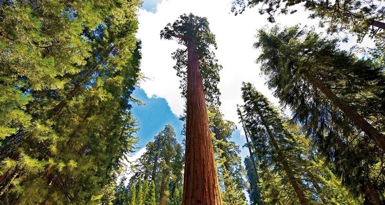 Les beautés naturelles de la côte ouest - DERTOUR 4