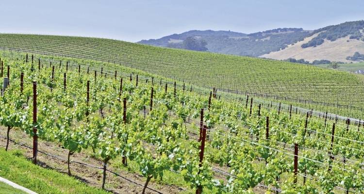 Natural beauty of the west coast - DERTOUR 5
