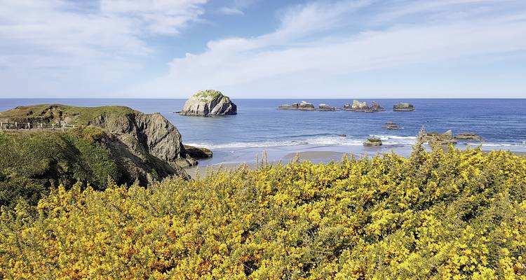 Paysage côtier avec plages de sable et affleurements rocheux.