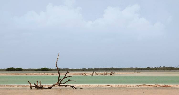 Cénotes, merveilles marines et mondes mayas - DERTOUR 1