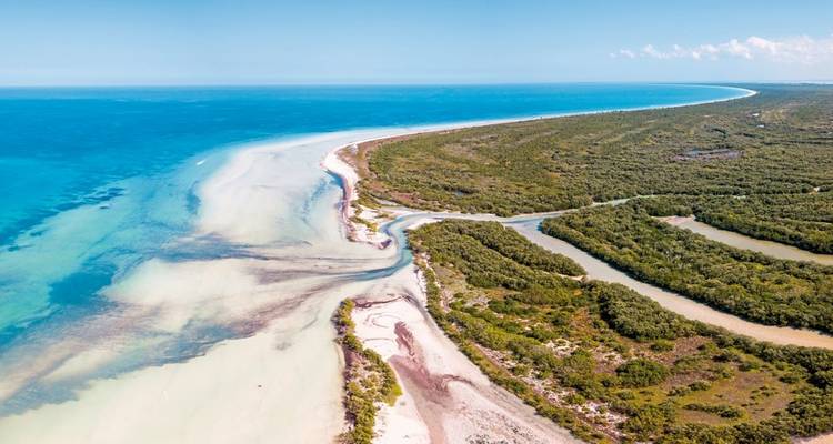 Vue aérienne d'une plage pittoresque avec une eau bleue cristalline et une végétation luxuriante.