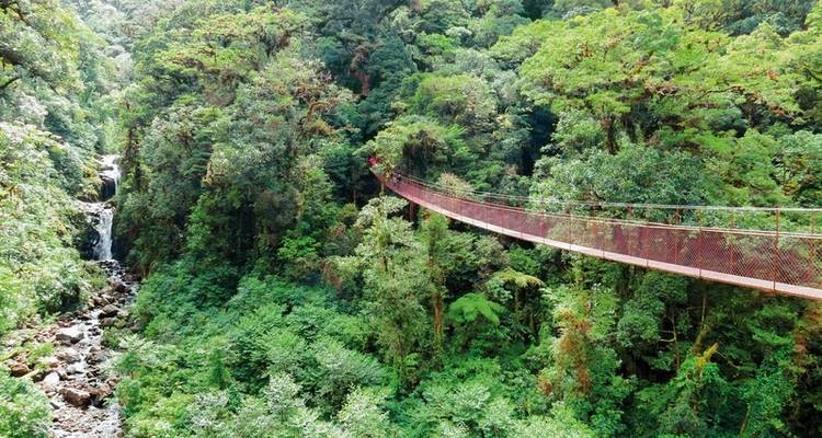 Panama on your own - DERTOUR 5