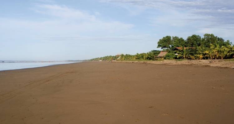 Panama on your own - DERTOUR 8